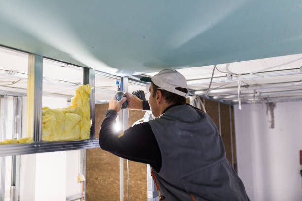 Best Spray Foam Insulation  in Sarand, AL