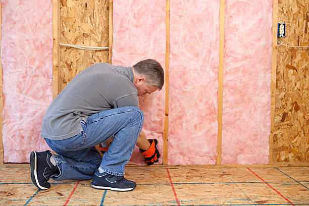 Garage Insulation Installation in Saraland, AL