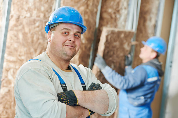 Best Energy-Efficient Insulation  in Sarand, AL